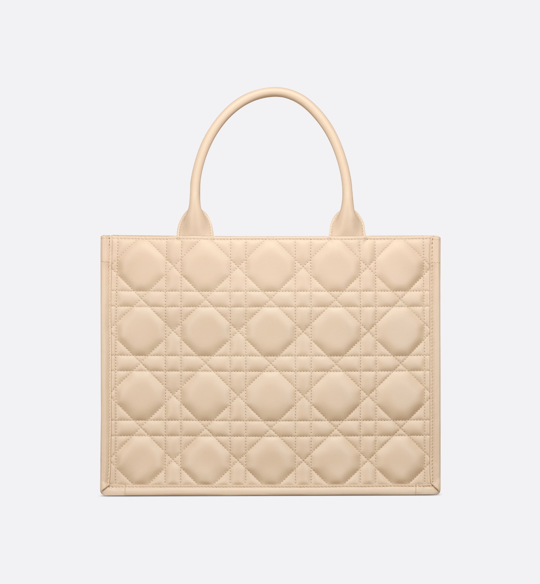 Dior Book Tote media