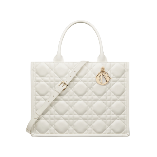 Dior Book Tote media
